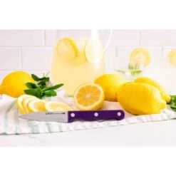 Ginsu Kiso Stainless Steel Cutlery Set 14 Pc -Tervis Central 65d98cd0 9c8e 4488 be4a d1a80b679823