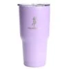Aquapelli 28 Oz Viola Purple BPA Free Vacuum Insulated Tumbler