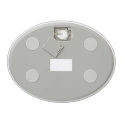 Taylor White Digital Kitchen Scale 11 Lb -Tervis Central dd667888 2819 4445 9b82 4423bf7805f2