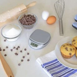 Escali Pico Gray Digital Kitchen Scale 11 Lb -Tervis Central ecad57d9 bc06 466b 9e06 7fb7e851cf9a